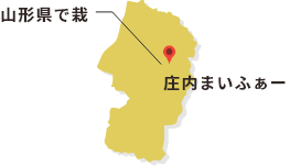 私が作っています