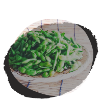 えだまめ