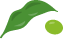 特別栽培だだちゃ豆